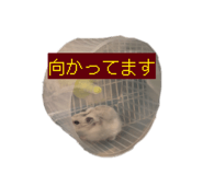 840460677