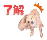 840460708
