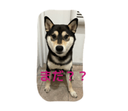 840461574