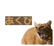 840461689