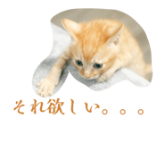 840461692
