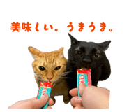 840461712