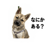 840461829