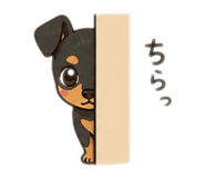 840462224