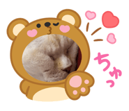 840462872