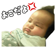 840462955