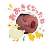 840463031