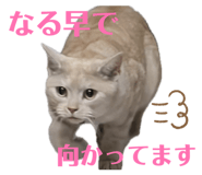 840464545