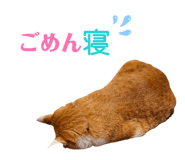 840466386