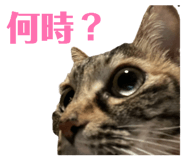 840466392