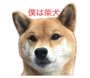 840466769