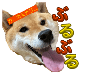 840466772