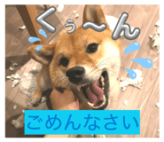 840466773
