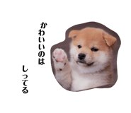 840466873