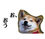 840466874