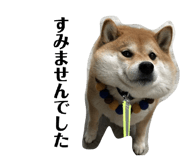 840466887