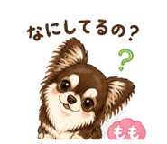 840466947