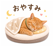 840467100