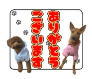 840468010