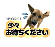 840468011