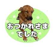 840468031