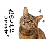840468079