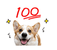 840468080