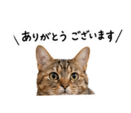 840468081