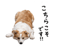 840468090