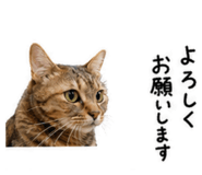 840468095