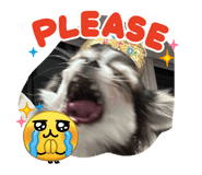 840468219