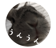 840468645