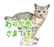 840468795