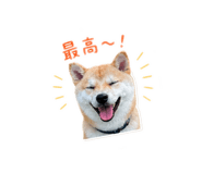 840468981