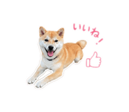840468984