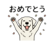 840469254