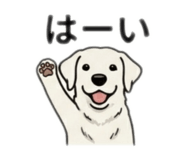 840469256