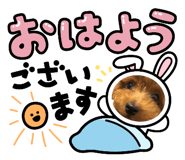 840469457