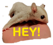 840469697