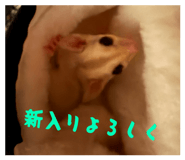 840469706