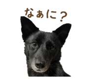 840469937