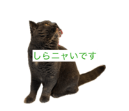 840470126