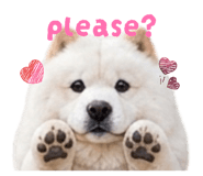 840486300