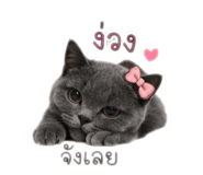 840486716