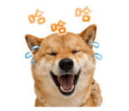 840488546