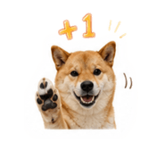 840488565