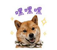 840488568