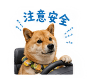 840488571