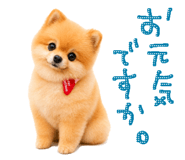 840489094