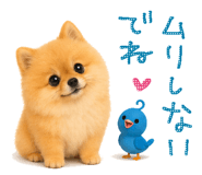 840489111